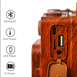 A8 FM Radio Retro Dual Vintage Speaker Dailynexa
