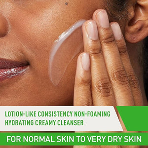 Hydrating Facial Cleanser Zambeel