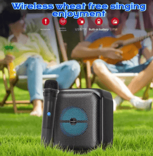 Portable Wireless Karaoke Speaker with Mic & RGB Lights Ⓢ Zambeel - CQL